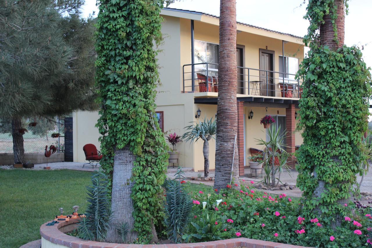 Rancho El Campanario En La Ruta Del Vino Hostel Valle de Guadalupe Exterior photo